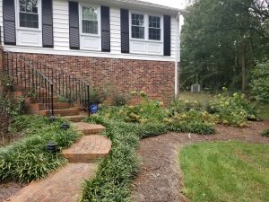 Brick steps with black railing lead through mulched landscape beds with liriope, shrubs, and pine straw.
