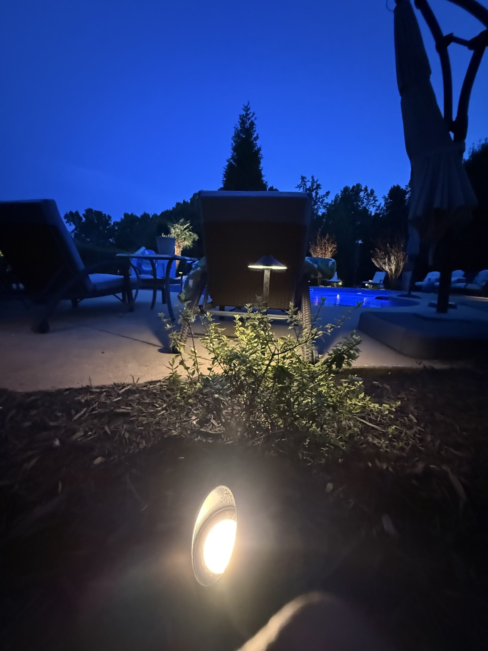 solomons landscape installation greer sc scaled - Solomon's Landscape & Design Path lights and uplights illuminate trees and poolside landscaping in a professionally lit backyard at twilight.