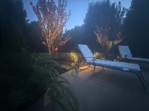 Landscape spotlights cast warm light on flowering trees and greenery beside patio lounge chairs at sunset.