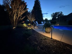 Path lights and uplights illuminate trees and poolside landscaping in a professionally lit backyard at twilight.