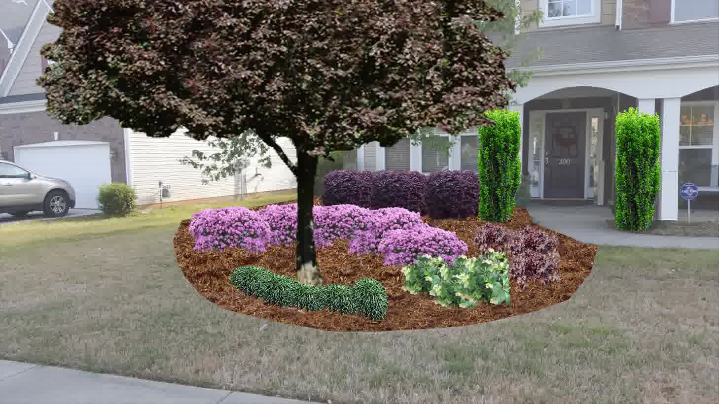 3d landscape design of a front yard landscape design with colorful flowering shrubs, mulch beds, and trimmed evergreens surrounding a central ornamental tree.

