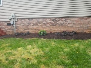 Freshly mulched garden bed along a brick and siding house with newly planted shrubs and bright green lawn in the foreground.
