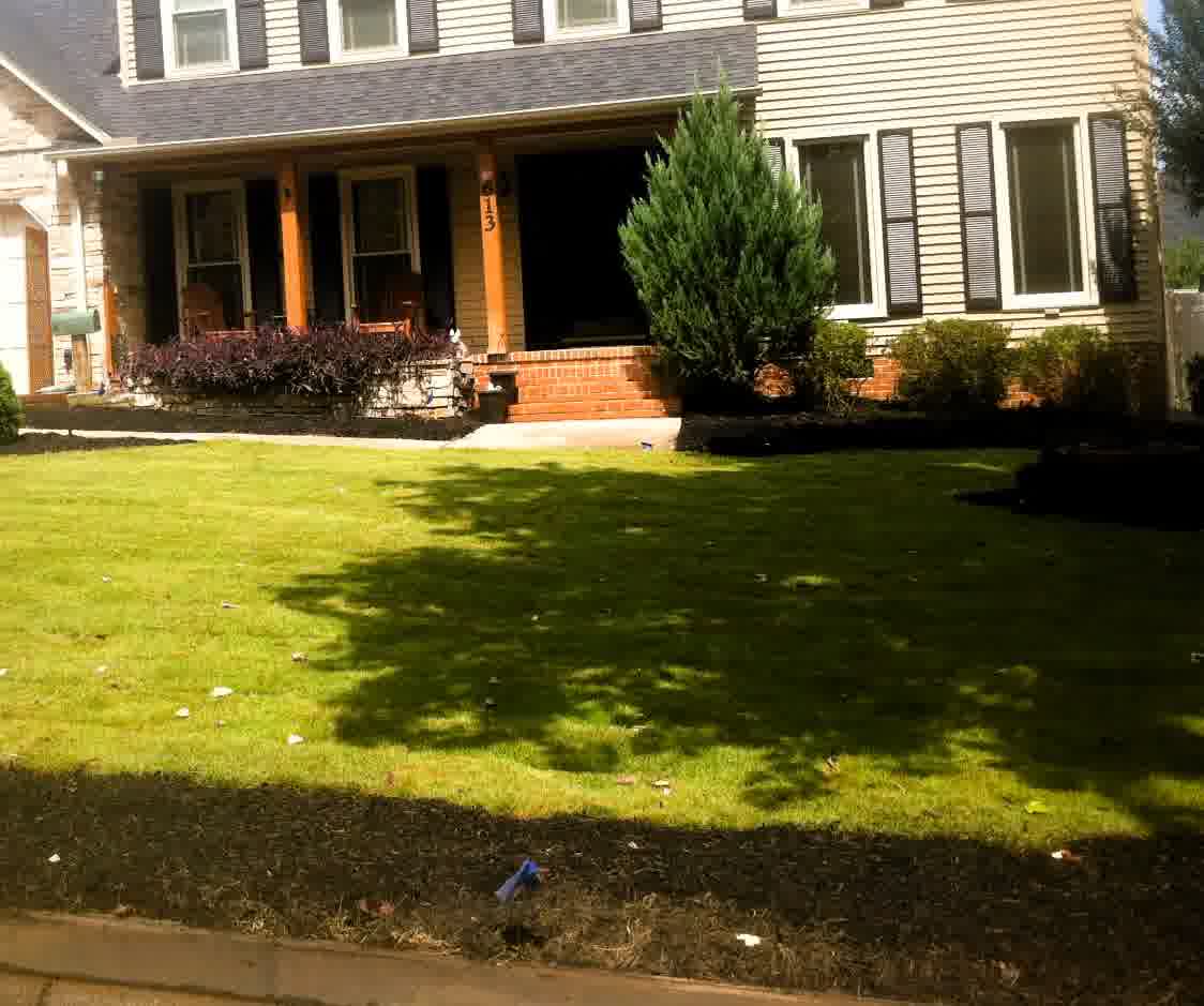 solomons sod installation lyman sc - Solomon's Landscape & Design Newly laid sod covers the front lawn with dark mulch beds, evergreen shrubs, and a shaded porch in front of a single-story home.