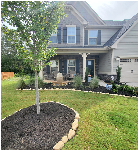 solomons tree trimming greer sc - Solomon's Landscape & Design solomons tree trimming greer sc - Solomon's Landscape & Design