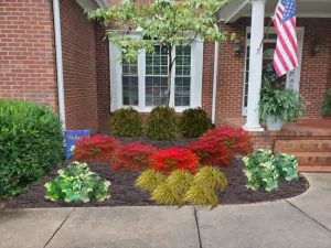 Front porch landscape with red Japanese maples, golden sedge, and white flowering plants against a brick house and flagpole.